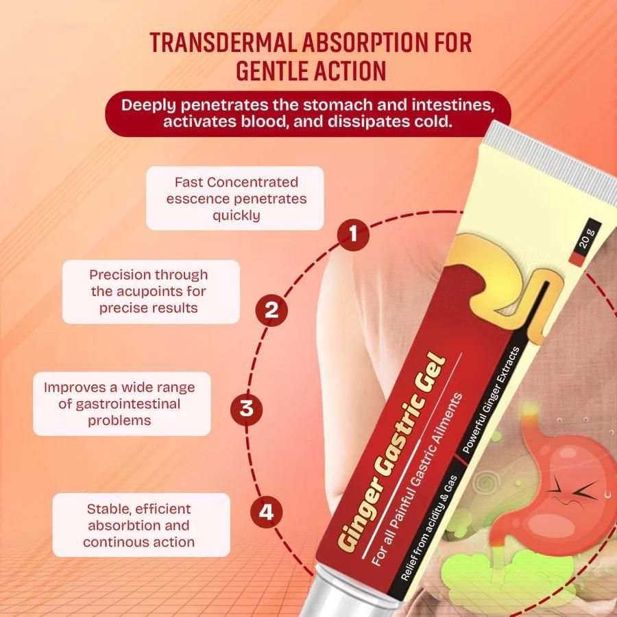 SB Ginger Gastric Gel 50 g (Pack of 1)